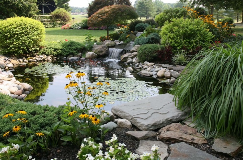 4 Landscaping Tips That Make Your Yard Stand Out