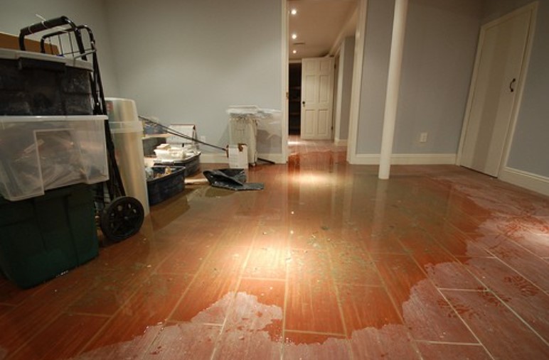 Water Damage Explained